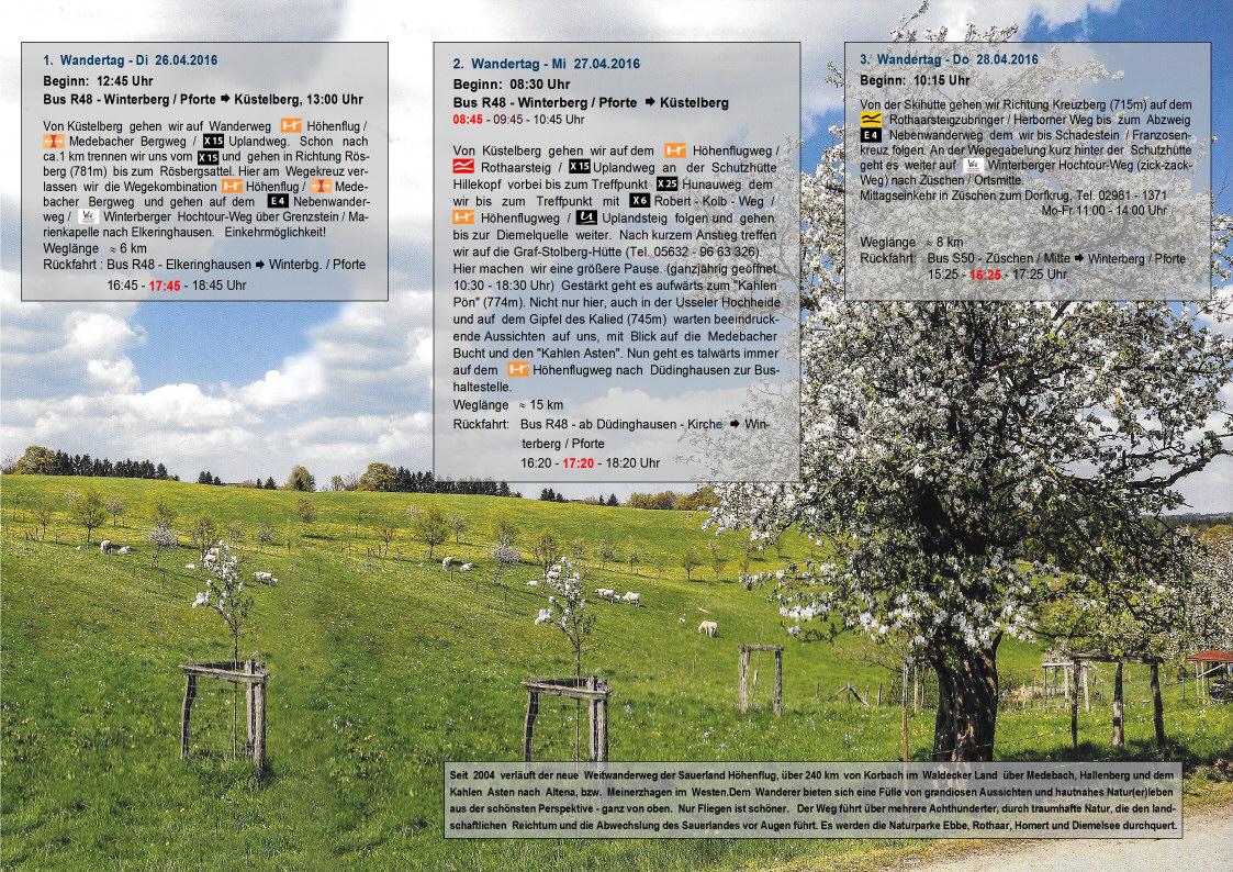 2016-bild-2