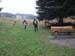 2013-04-088