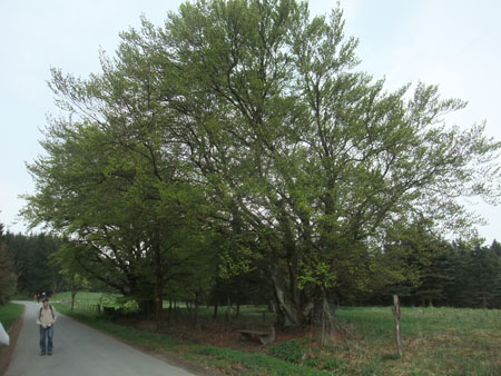 2014-037
