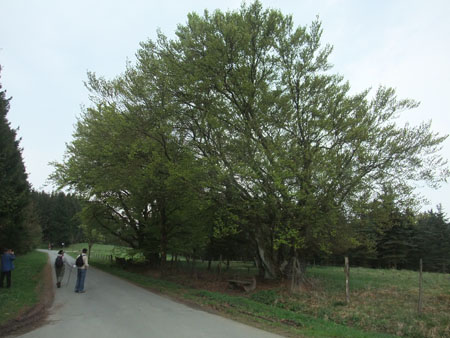 2014-038
