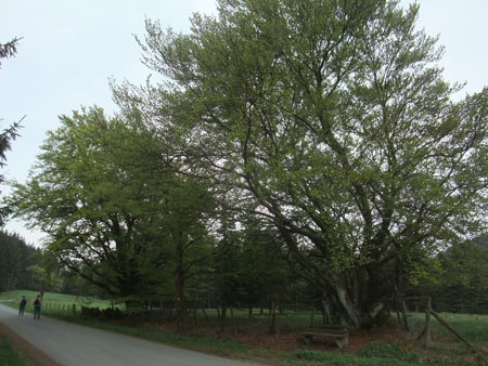 2014-039