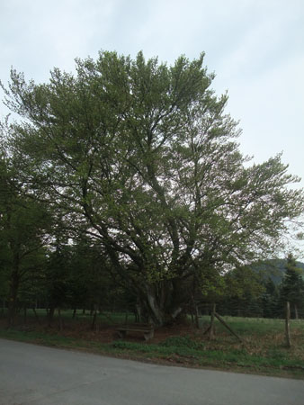 2014-040