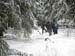 Aprilwandern-2016-104-Klaus